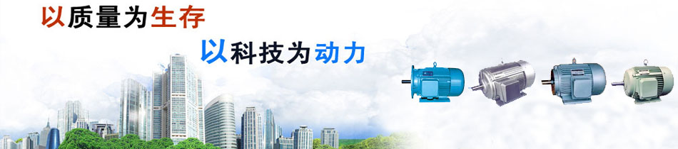 專(zhuān)業(yè)制造TYB、FTY系列三相永磁同步電動(dòng)機(jī)